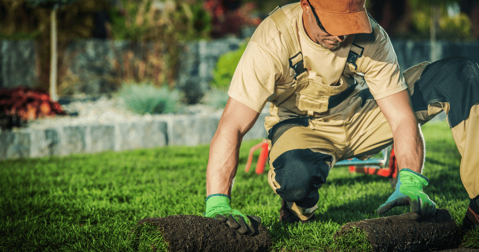 landscaping 1 1