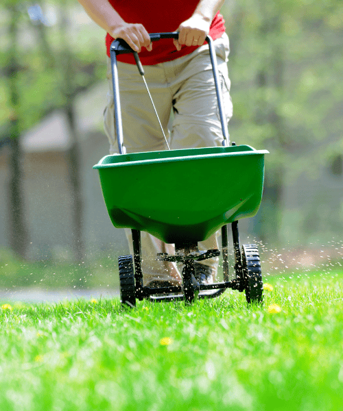 landscaping 4