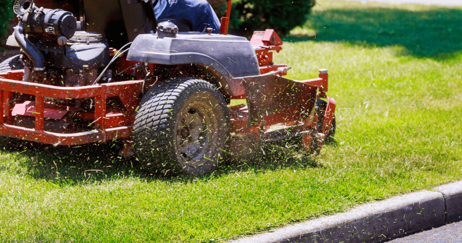 landscaping 5